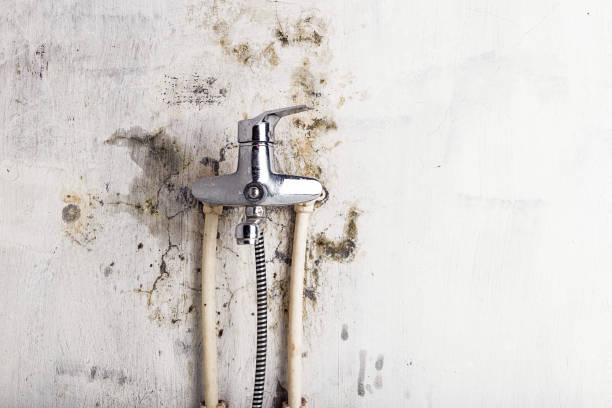 Best Water Damage Restoration  in Surf City, NJ