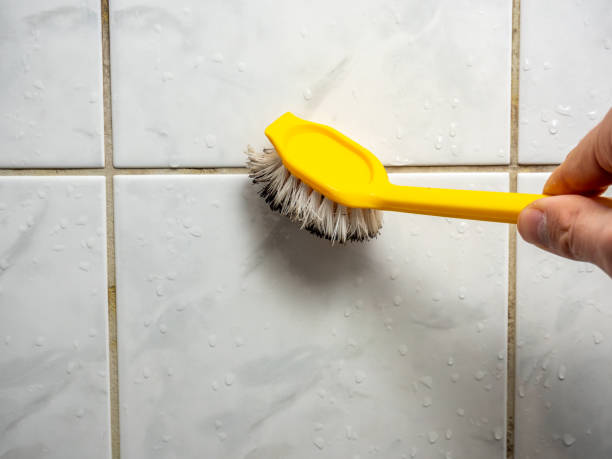 Best Emergency Mold Removal  in Surf City, NJ