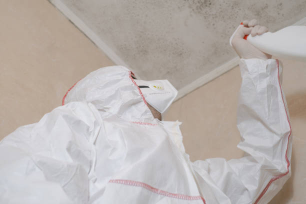 Best Toxic Mold Removal  in Surf City, NJ